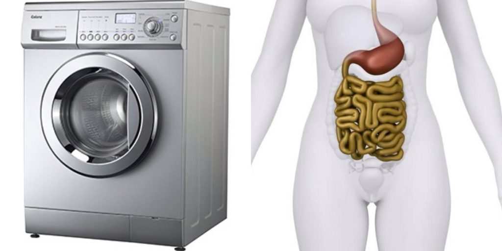 Why Your Gut is like a Washing Machine - written by sheffield personal trainer LEP Fitness