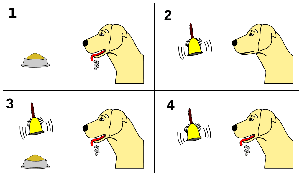 Pavlov’s Dog Experiment - LEP Fitness