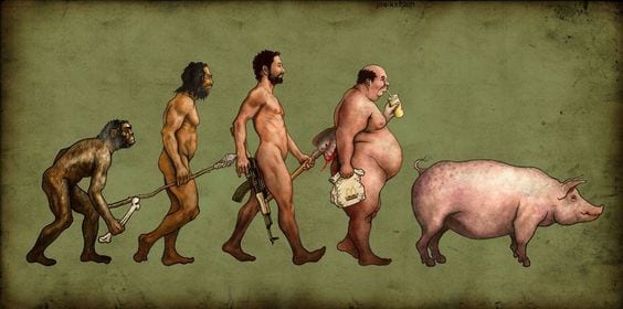 food evolution - LEP Fitness