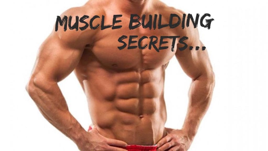 50 Muscle Building Tips