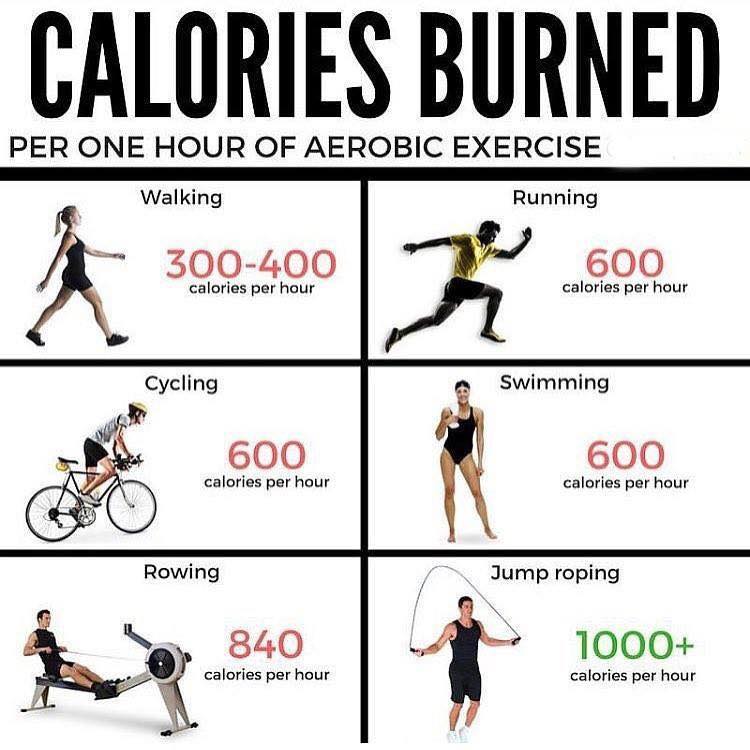 calories burned for cardio exercise 