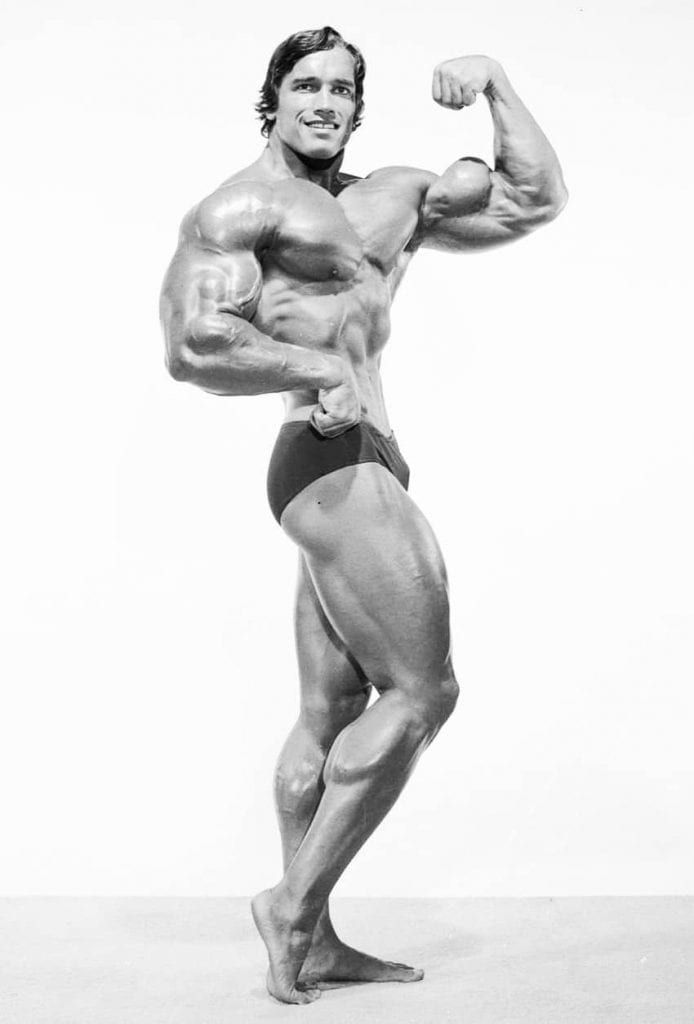 Arnold Schwarzenegger one of the best bodies ever by LEP Fitness 