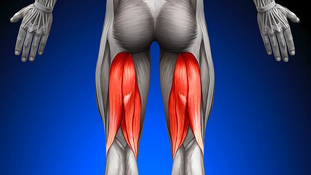 Everything you need to know to get bigger and stronger hamstrings